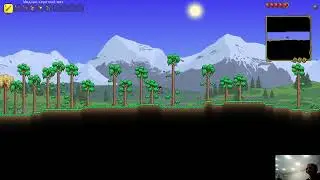 Terraria первый стрим