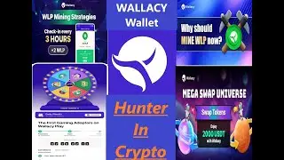 Wallacy Wallet - Обзор. Кошелек Web3 и не только...