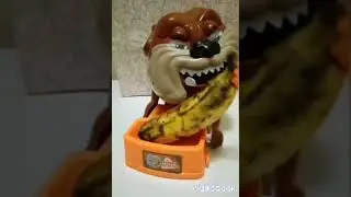 Maddog can Eat Banana, Don't you dare