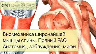 Биомеханика широчайшей мышцы спины. Полный FAQ. Упражнения, заблуждения, мифы