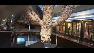 Adelaide museum #adelaide #adelaidemuseum #museam