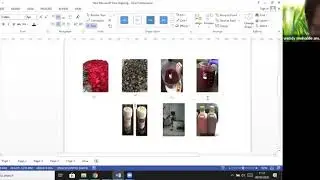 Virtually Workshop on Photoshop and Ms Visio for Research Support (3)