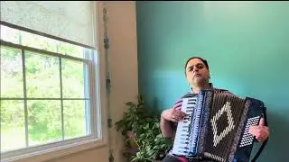 Cover Instrumental of “ Vidaa Karo “ in Accordion 🪗