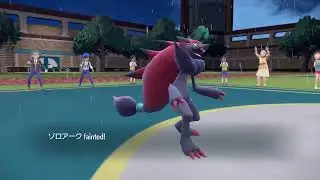 Multi Battle Featuring Eviolite Stantler MVP DC