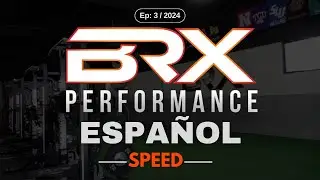 Fundamentos: Velocidad (Speed)