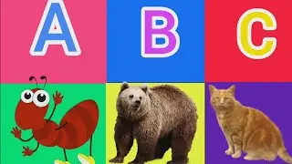 Alphabet Animals | Learn Animal names,Alphabets | Animal ABC |A for ant B for bear C for cat |A to Z