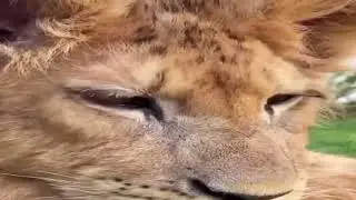 Для настроения.
