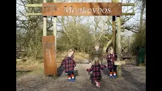 Tip van Saar en Suus: #Monkeybos in Wassenaar.