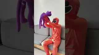 poor little catnap