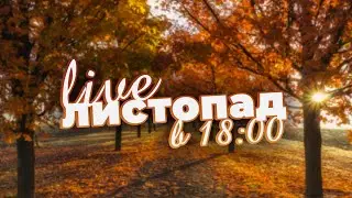 LiveСМР #66 