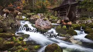 Утренние чтения 