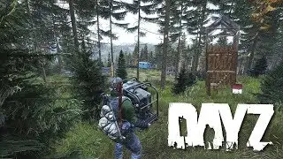 Стрим DayZ