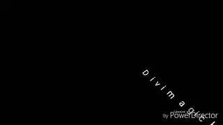 Divimagic Home Video Logo History