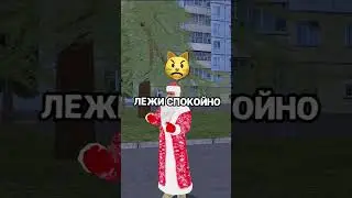 🎅 МАТРЁШКА РП / Promo "SANTOP"