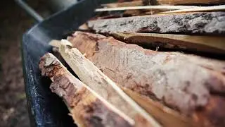 Semaine Cuisson Phoenix/ Phoenix Kiln/ Wood Kiln au CPIFAC