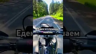 Любимая дорога