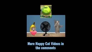 Banana Cat &Hapi Cat Hates Summer #shortvideo #shortsfeed #shorts