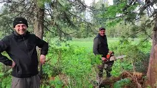 life video с Маны