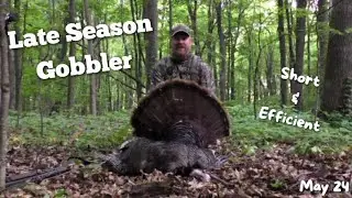 Late Season Turkey Hunt on Public Land | LONE Gobbler on Public Land Wisconsin!!!