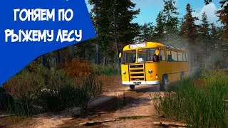 Bus World / Чернобыль №9 / Дакар в рыжем лесу