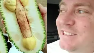 Jack fruit!!!