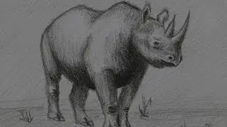 Рисуем Африканского носорога, несложно. Afrikanischer Nashorn, Zeichnen lernen.
