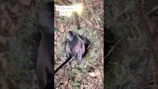 Эти аффирмации повысят твою уверенность #психология #эмоции #здоровье #мистика