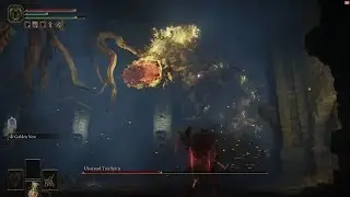 Ulcerated Tree Spirit - Full Fringefolk Hero's Grave Gauntlet + Boss Fight - Elden Ring