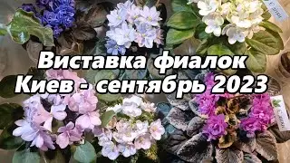 Выставка фиалок в Киеве - сентябрь 2023