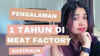 Pengalaman kerja 1 tahun di Meat Factory Australia