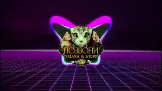 DJ SMASH, NIVESTA  - Позвони (Makartsov Remix)