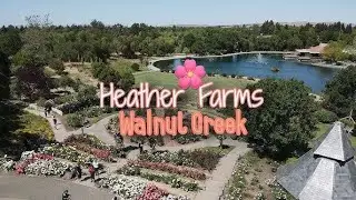 🌳 Explore Heather Farms in Walnut Creek CA: Your Ultimate Guide!