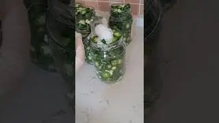 Jalapeno (meksika biberi)turşusu 