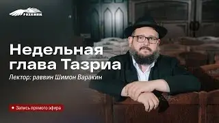 Недельная глава «Тазриа». Раввин Шимон Варакин.