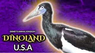 DinoLand U.S.A | Disney's Animal Kingdom