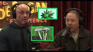 Joe Rogan & Eddie Huang Weed and MushShrooms