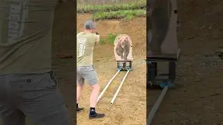 How fast can you kill a bear with a gun?? 