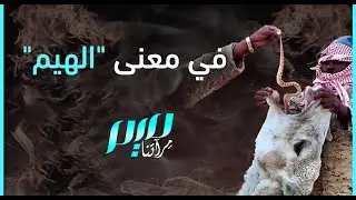 في معنى "الهيم"