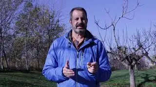 El punto de rocío  NOV 2020