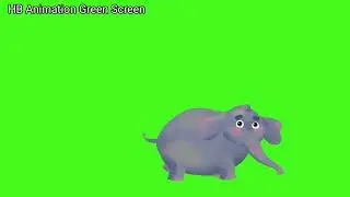 Elephant 🐘 Animation Green Screen