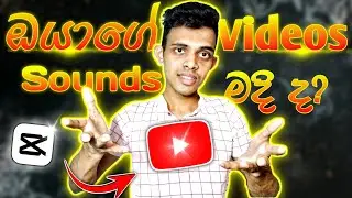Capcut Voice Editing Tutorial | How To Edit sounds & Voice In Capcut | sound editing for videos 2024