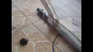 бабочка