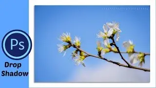 Photoshop📷 CS6 - How To Add a Drop Shadow Border