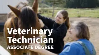 Veterinary Technician Associate Degree at NTC