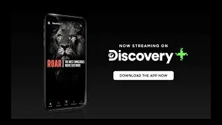 Watch ‘Roar: The Most Dangerous Movie Ever Made’ | Discovery Plus App