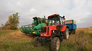 УБРАЛИ УРОЖАЙ ГРЕЧИХИ | ПОЧЕМУ ТАК ДОЛГО НЕ БЫЛО ВИДЕО