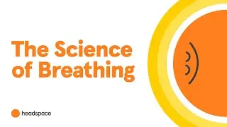A Neuroscientist Explains How Breathing Impacts the Brain