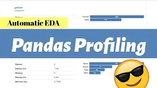 Pandas Profiling : An Automatic EDA Tool to Reduce  Your Work and Time 😎😎 | Bhupendra Singh