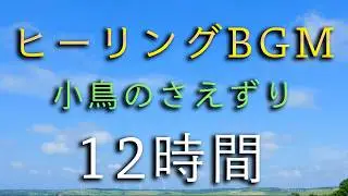 とある夏の日に小鳥のさえずりを聞きながら流れる雲を見る / 作業用BGM 12時間