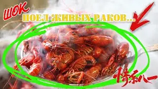 Поел живых раков...